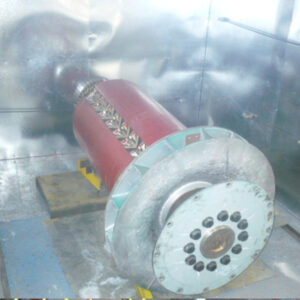 Secado al horno de rotor de fuerza generador.